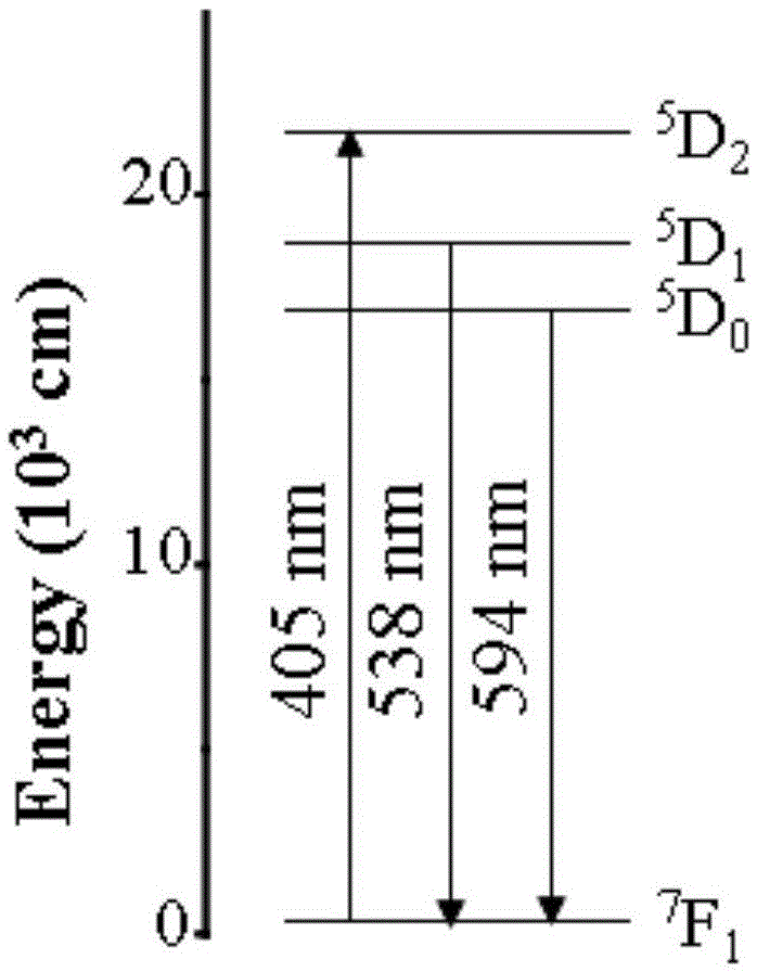 Correction method for down-conversion fluorescence intensity ratio temperature measurement technology