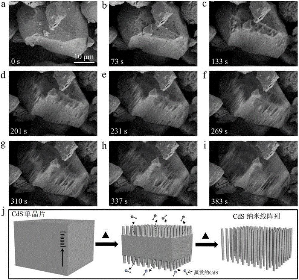 Preparation method for CdS or CdSe single-crystal nanowire array