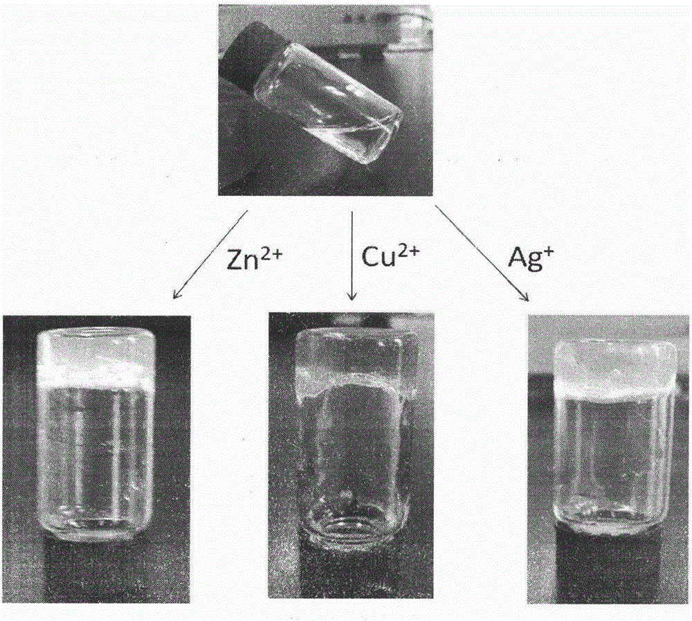 Antibacterial carboxymethyl chitosan hydrogel and preparation method thereof