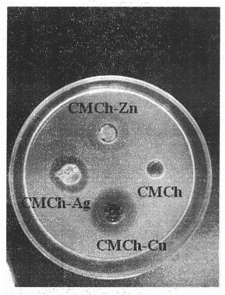 Antibacterial carboxymethyl chitosan hydrogel and preparation method thereof