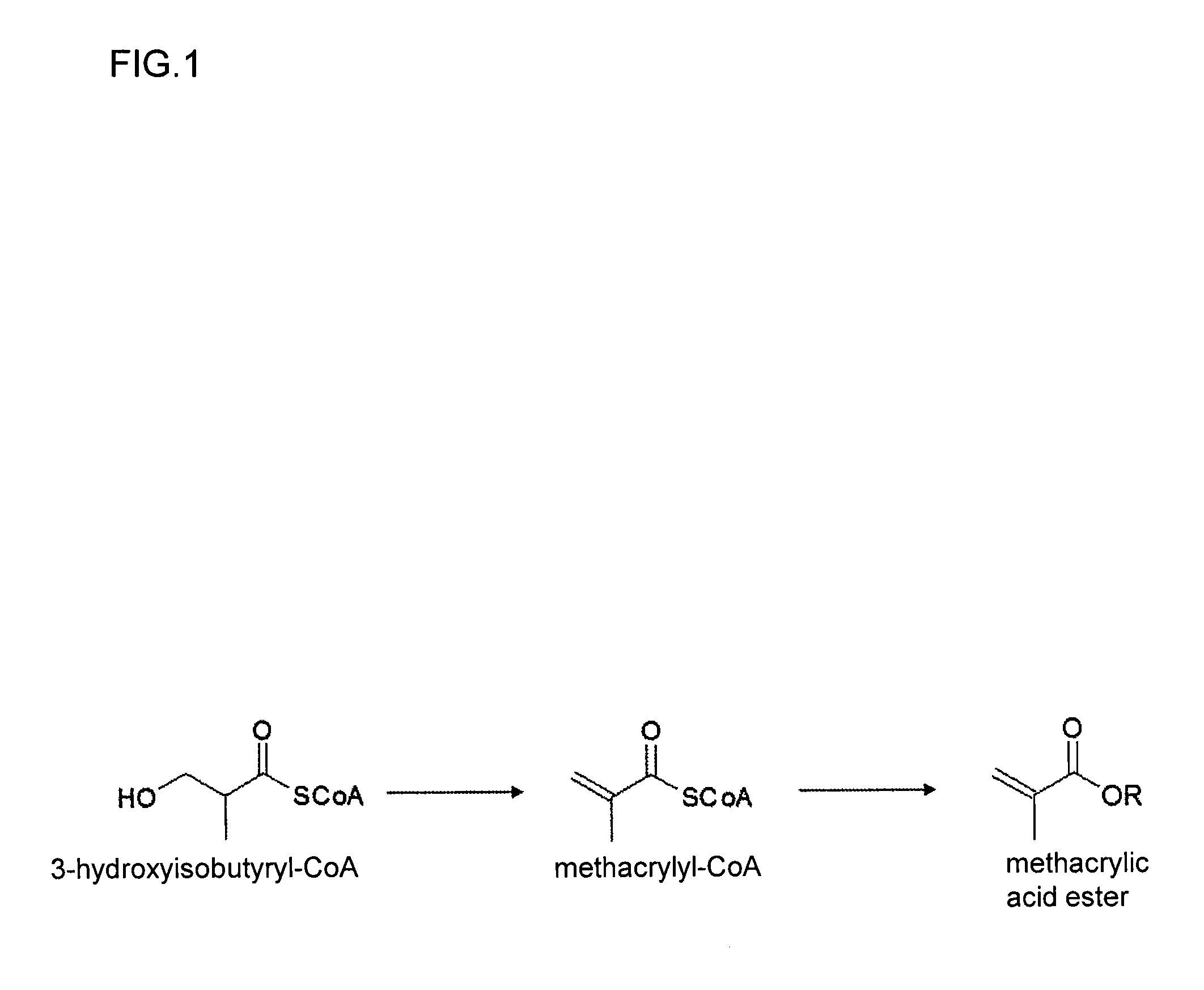 Method for producing methacrylic acid ester
