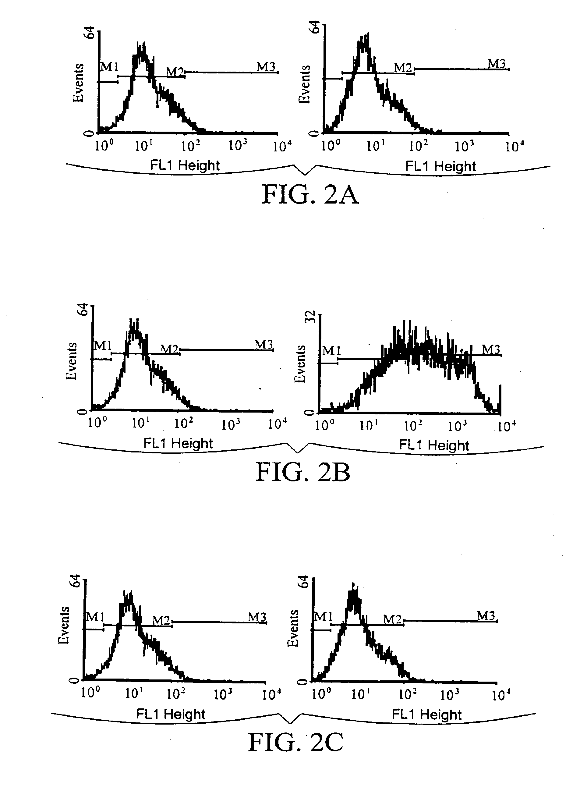 Combination Immunogene Therapy