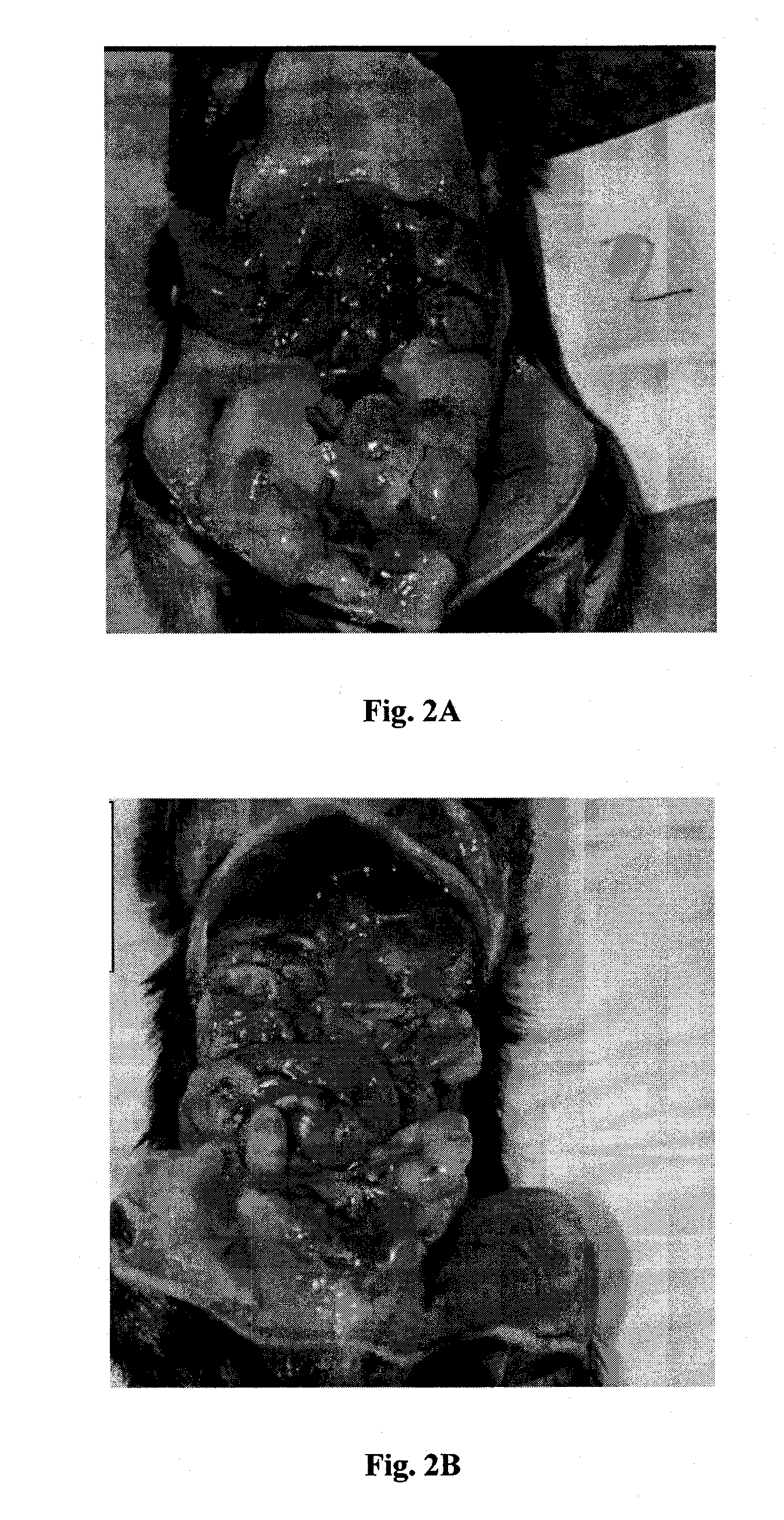 Tricyclic compounds, compositions comprising them and uses thereof