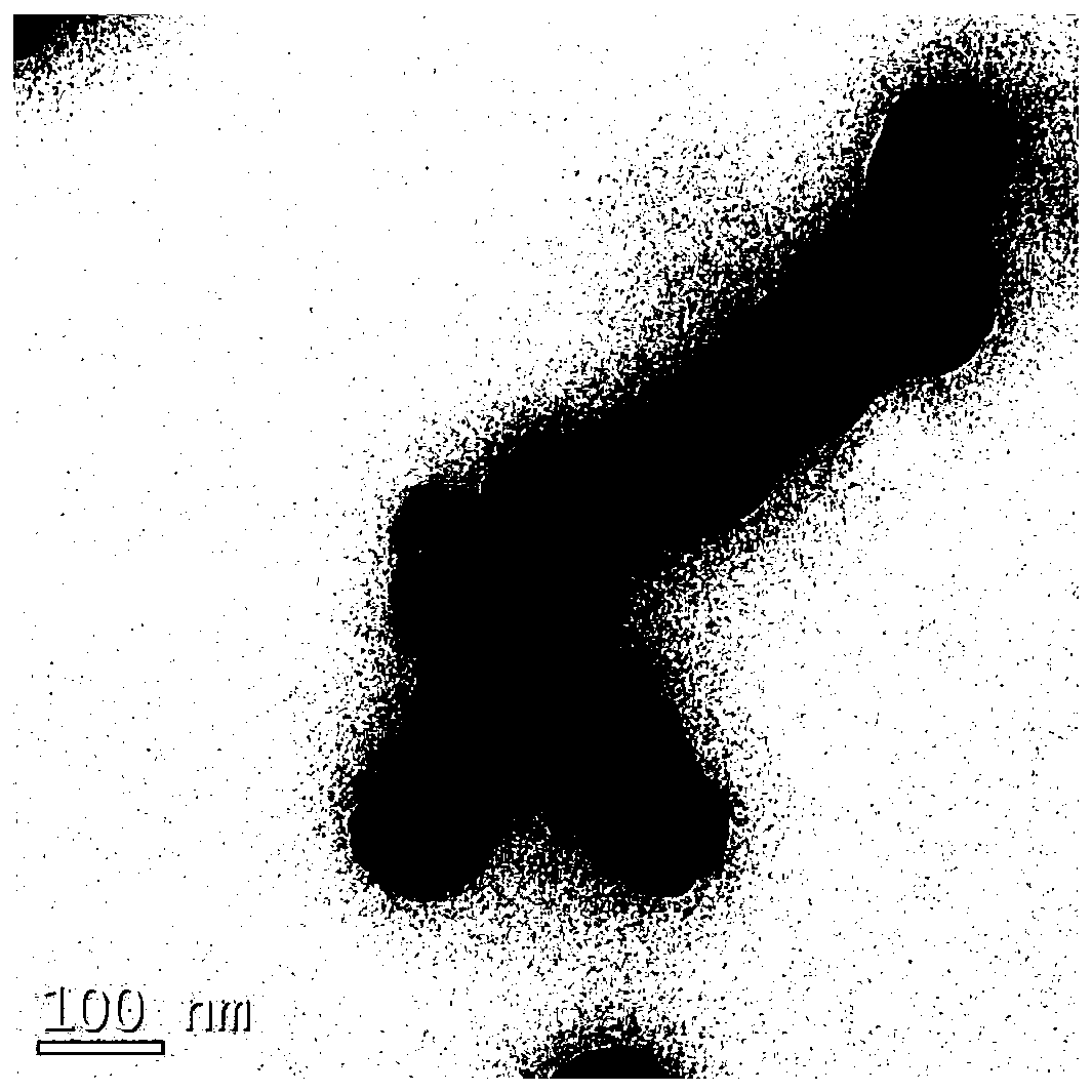 Molecularly imprinted magnetic nanospheres of dopamine and its metabolites and its preparation method and application