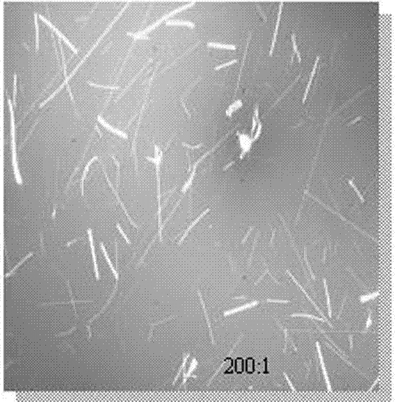 Composite material containing modified basalt fiber and polymer and preparation method thereof