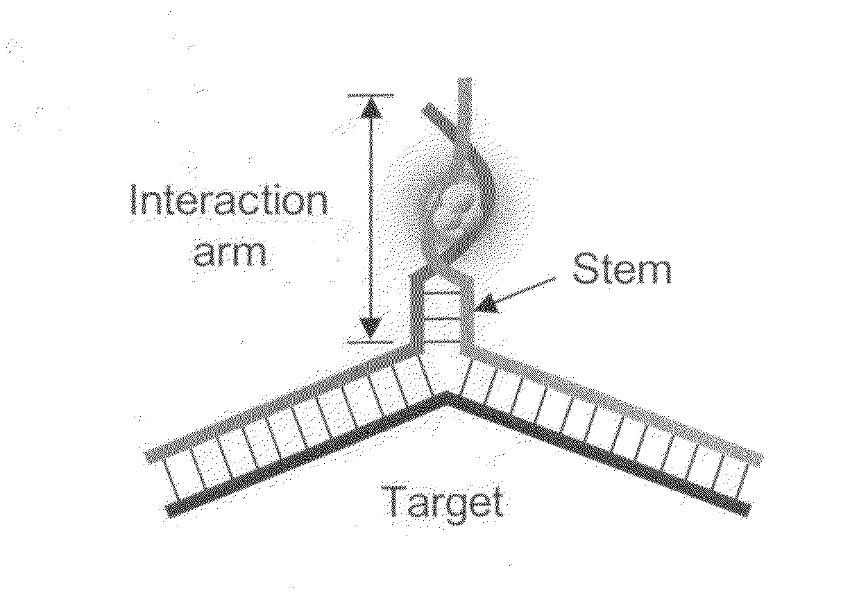 Probe and method for DNA detection