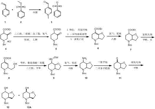 Preparation method of tertiary butyl 7-hydroxyhexahydrofuro-[3,2-b] pyridine-4(2H)-carboxylic ester