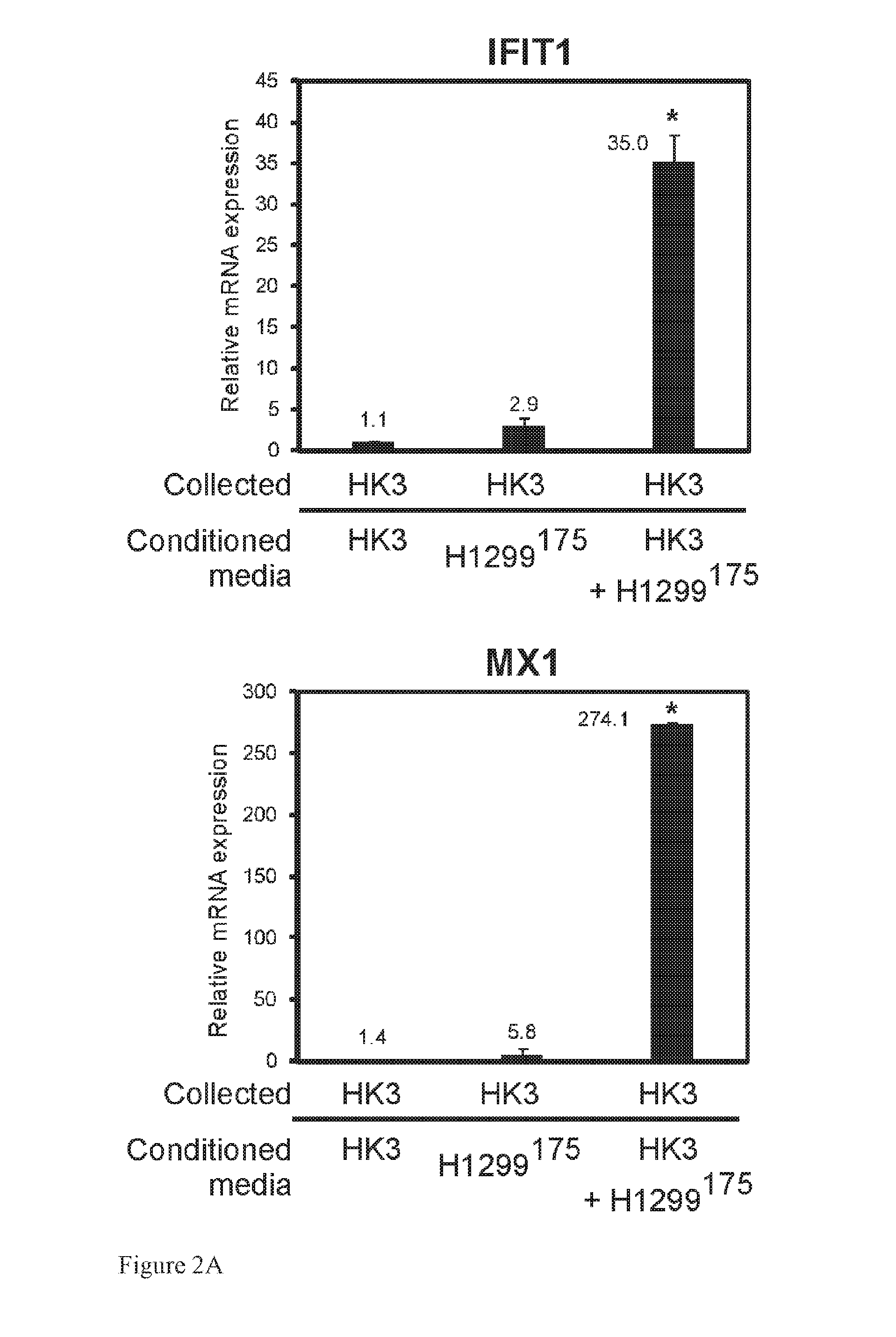 Interferon treatment targeting mutant p53 expressing cells