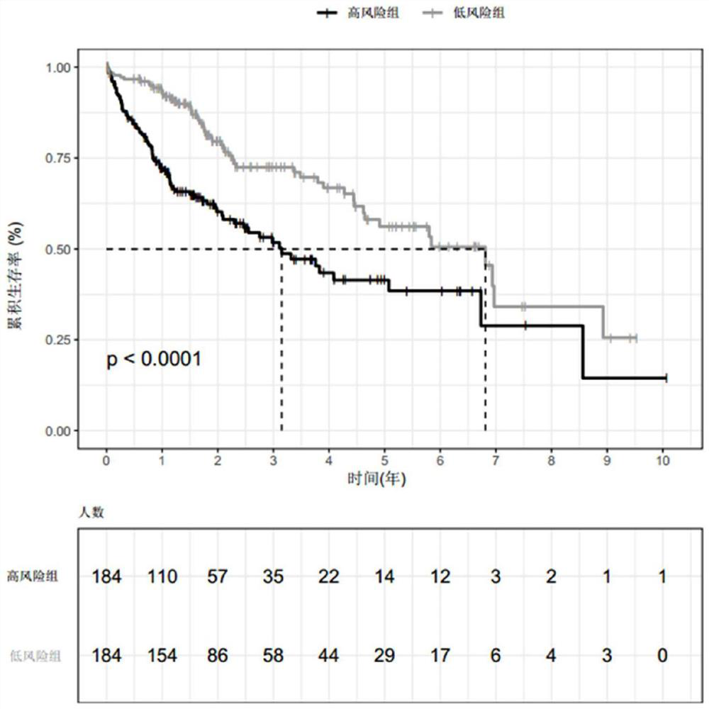 Prognostic risk evaluation model and evaluation device for liver cancer patient