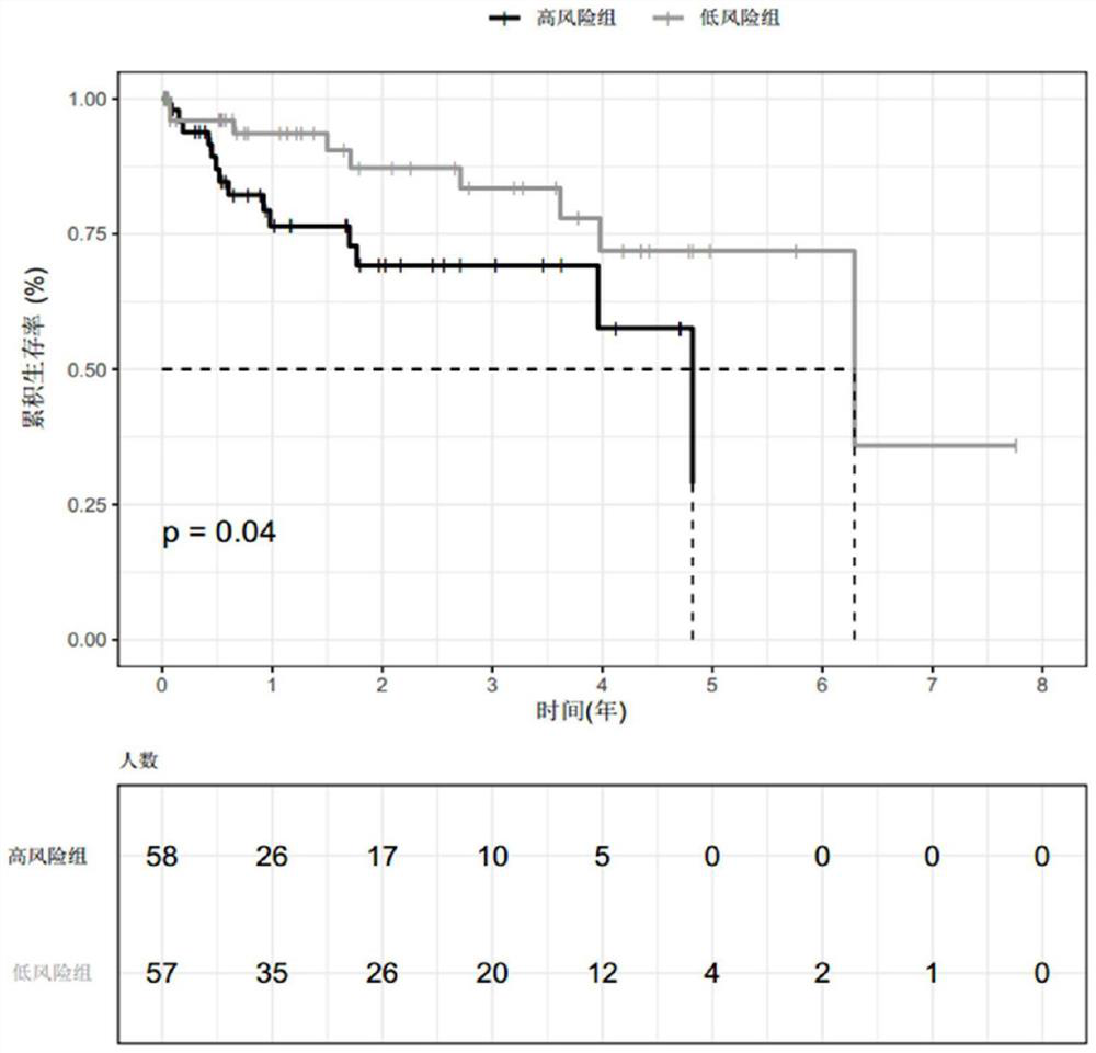 Prognostic risk evaluation model and evaluation device for liver cancer patient