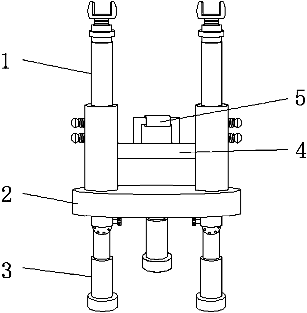 Supporting frame for branches and stems of grapefruit tree