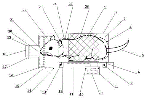 Flexible constraint rack for small animal mouth and nose exposing