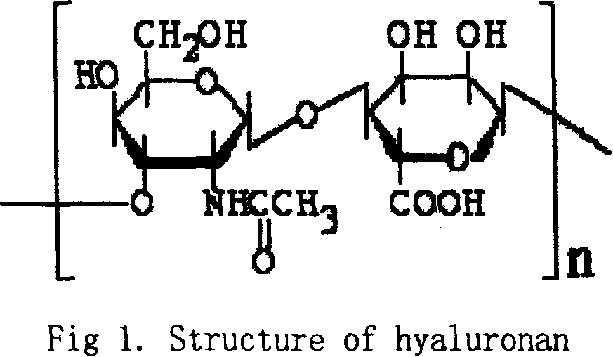 Macrolide antibiotics sodium hyaluronate eye transfer system