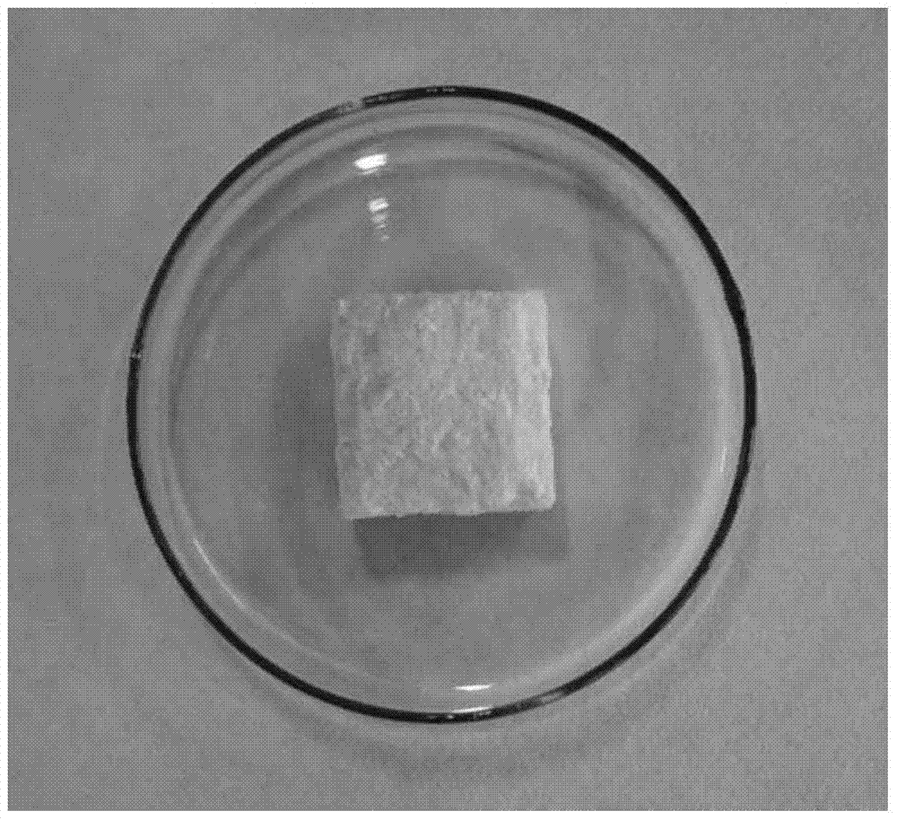 A kind of preparation method of nanocellulose/polyurethane foam composite elastomer