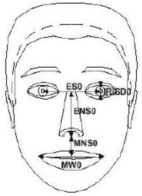Mouth shape animation synthesis method based on comprehensive weighted algorithm