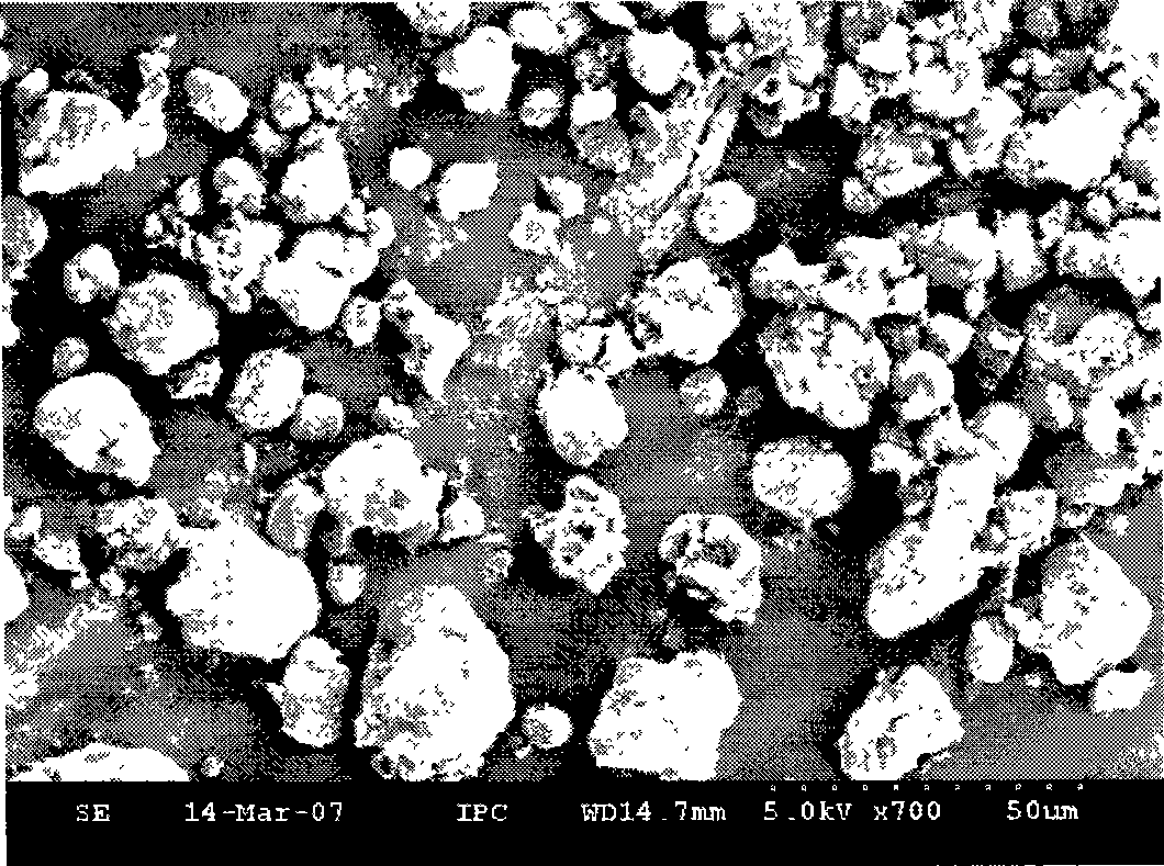 Carbon nano-tube microparticle supported palladium nano particle as well as preparation method and application thereof