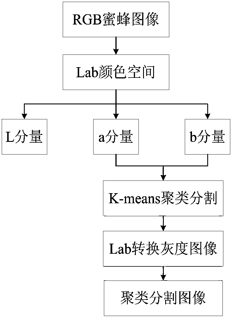 An Information Fusion Analysis Method Based on Honeycomb Video-Temperature Acquisition System