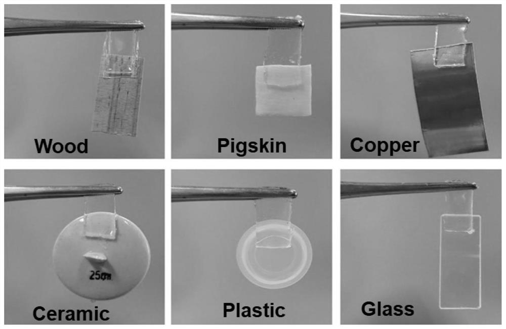 High-transparency self-repairing self-adhesion conductive elastic material and preparation method thereof