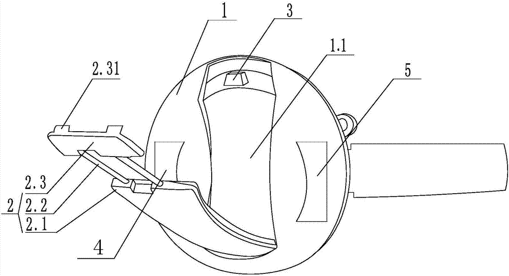 Hand-held ECG detection device and ECG detection system with same