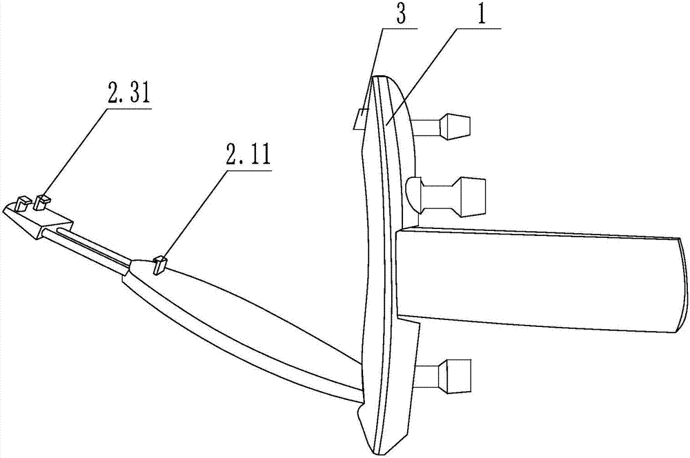 Hand-held ECG detection device and ECG detection system with same