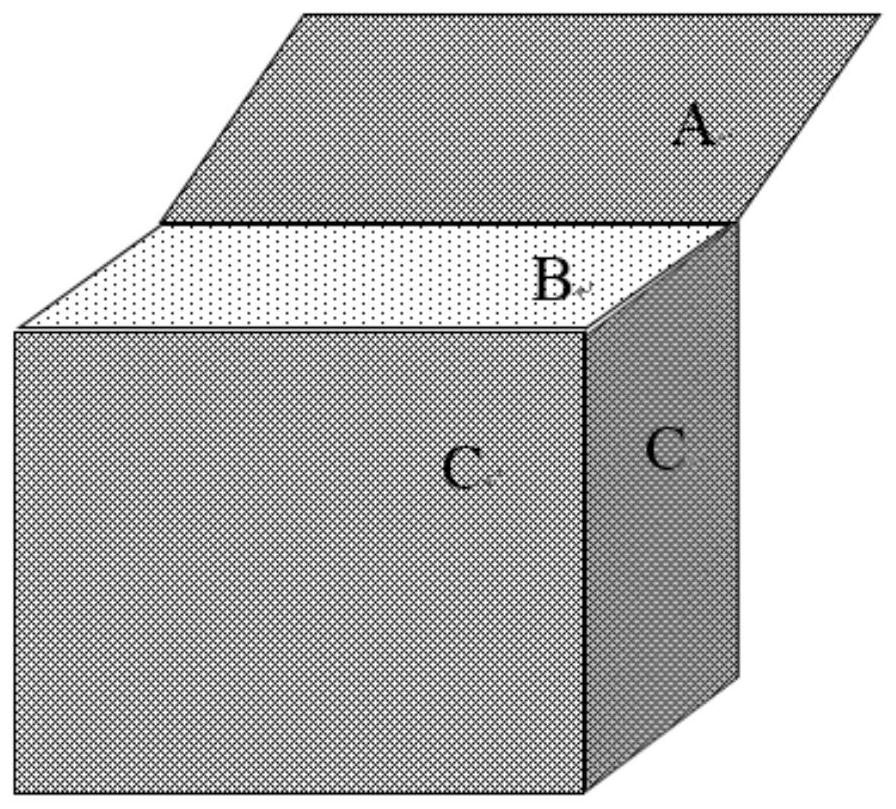 Carrier plant system and its construction method and application