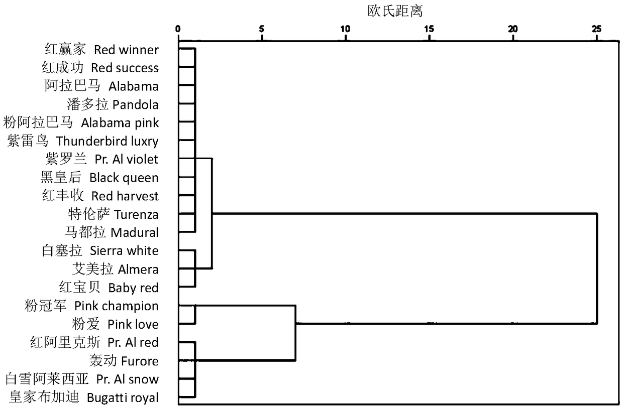 Method for evaluating cold endurance of anthurium andraeanum at flowering stage
