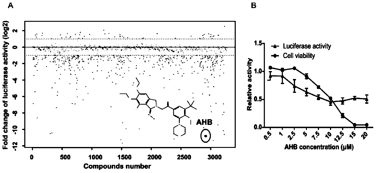 Application and research method of atopaxar hydrobromide as novel JAK-STAT3 signal path inhibitor