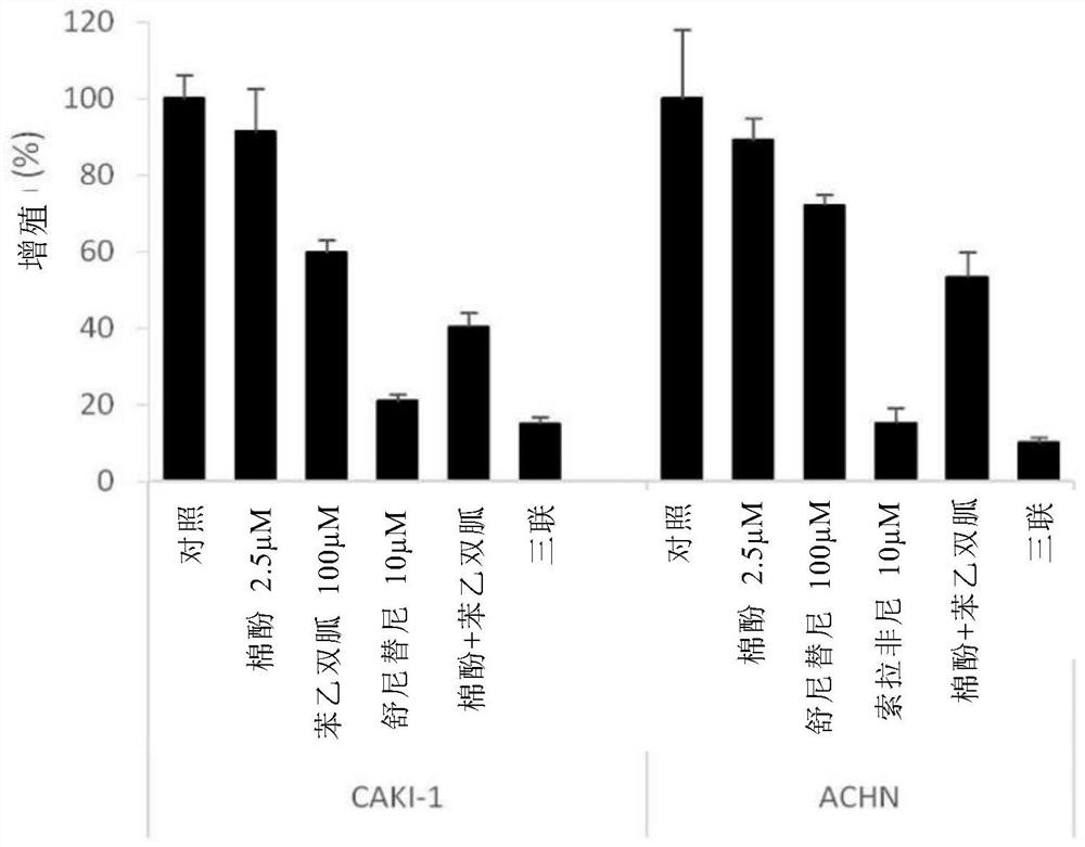 Pharmaceutical composition for preventing or treating cancer, comprising gossypol, phenformin, and anticancer agent