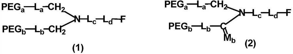 A kind of preparation method of monofunctional branched polyethylene glycol