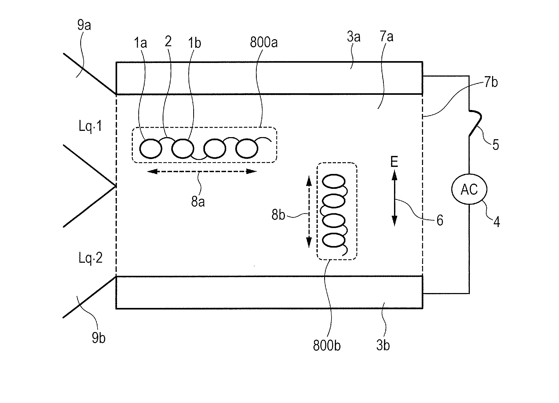 Polarizable connection structure and device including the same