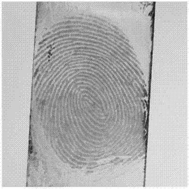 A method for revealing latent fingerprints by fuming candle soot