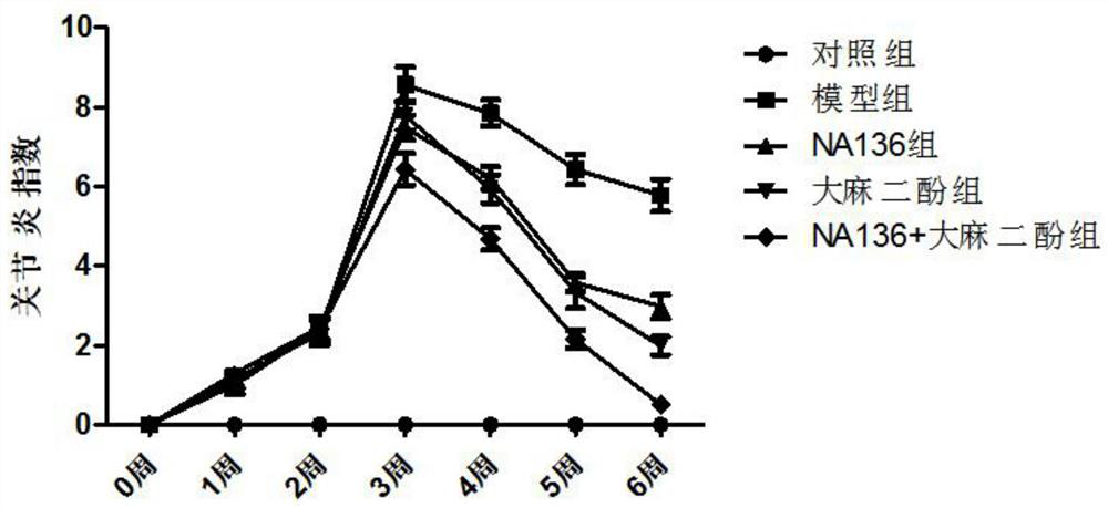 Application of combination of lactobacillus plantarum NA136 and cannabidiol monomer in preparation of product for treating rheumatoid arthritis