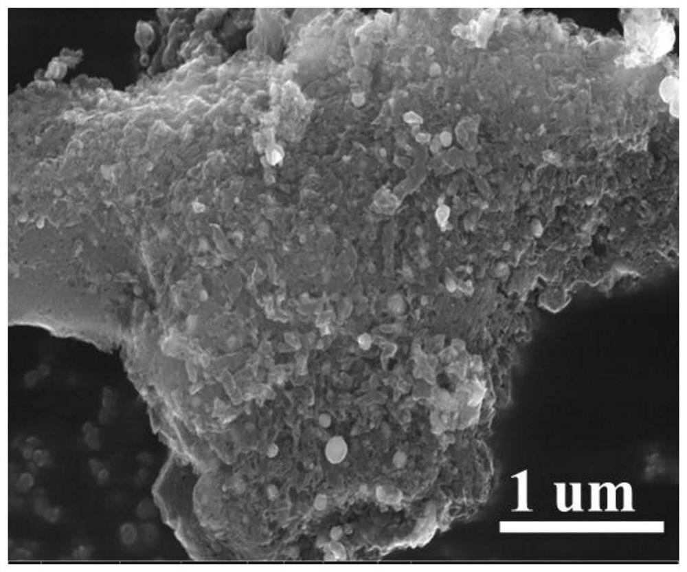 Catalyst and preparation method of n-doped porous carbon coated Fe, Co bimetallic nanoparticles