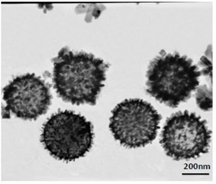 Preparation method of stannic oxide/silica composite nano-particle