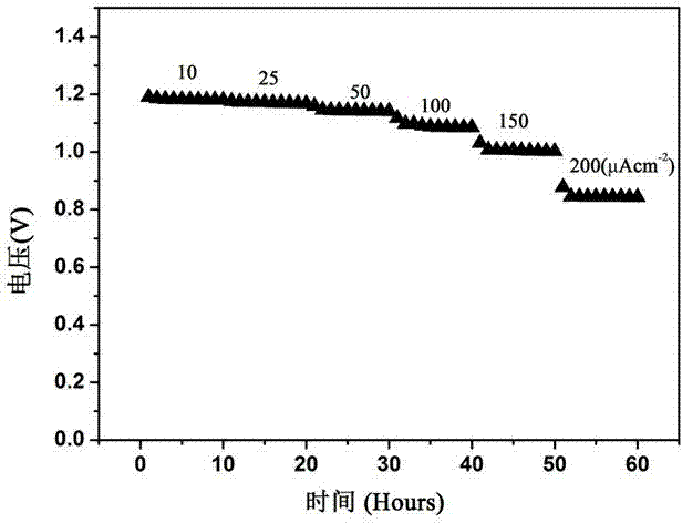 Preparation method of co-doped conductive polymer electrode material