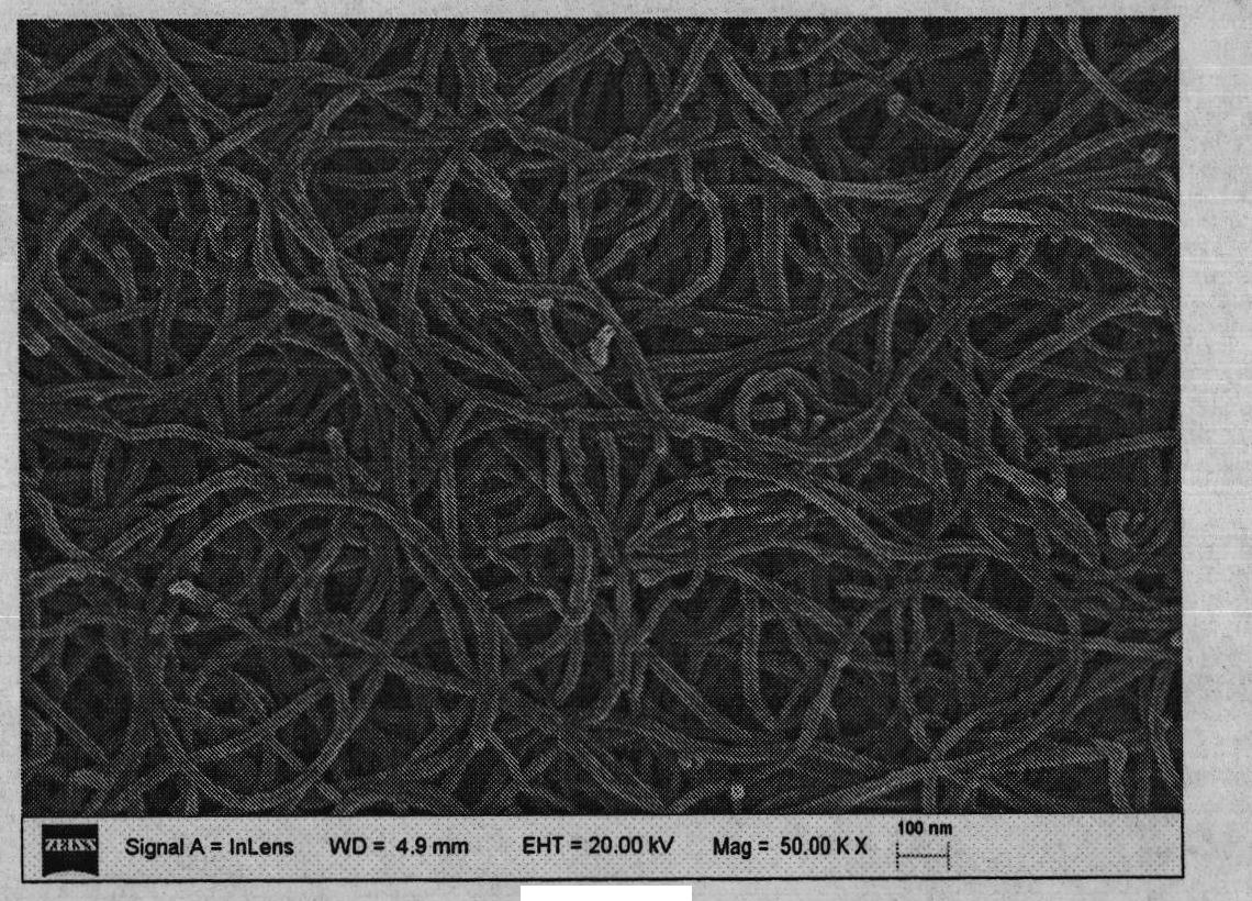 Single metal/multi-wall carbon nano tube type composite material, preparation method and application thereof