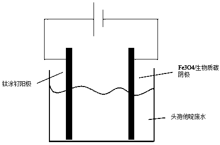 Method for electrically degrading ceftazidime in water by adopting Fe3O4/biomass carbon cathode