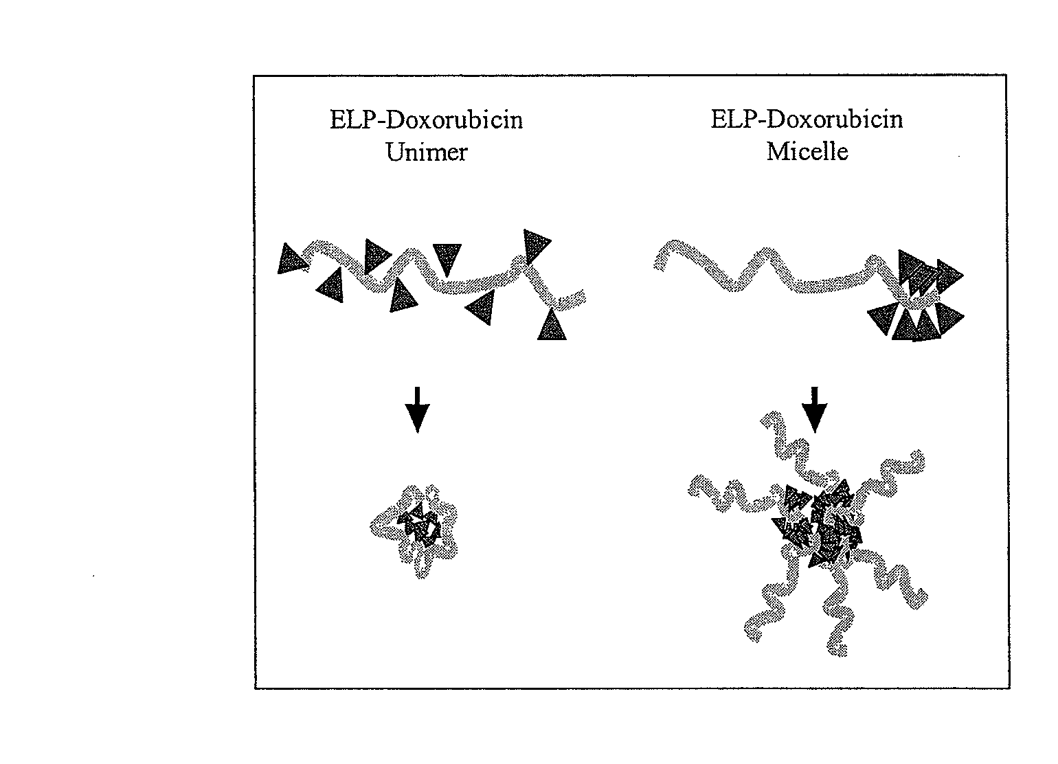 Methods and compositions for modulating drug-polymer architecture, pharmacokinetics and biodistribution