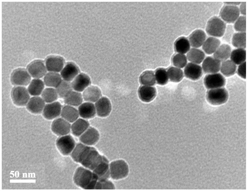Nano biosensor for detecting concentration of hydrogen peroxide, and preparation method and application of nano biosensor