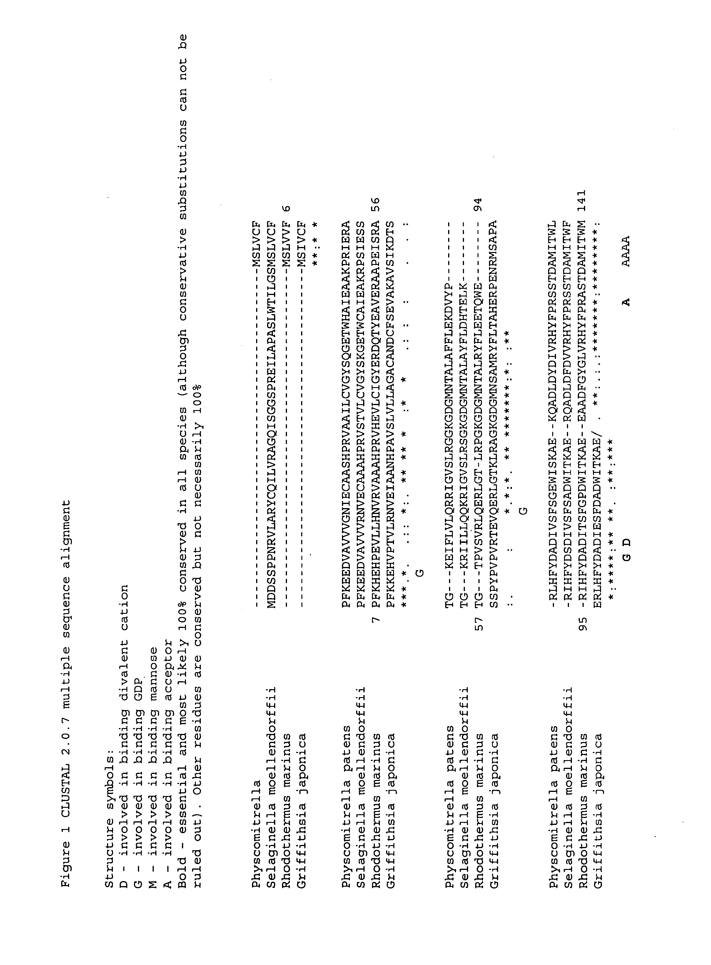 Stress-tolerant plants expressing mannosylglycerate-producing enzymes