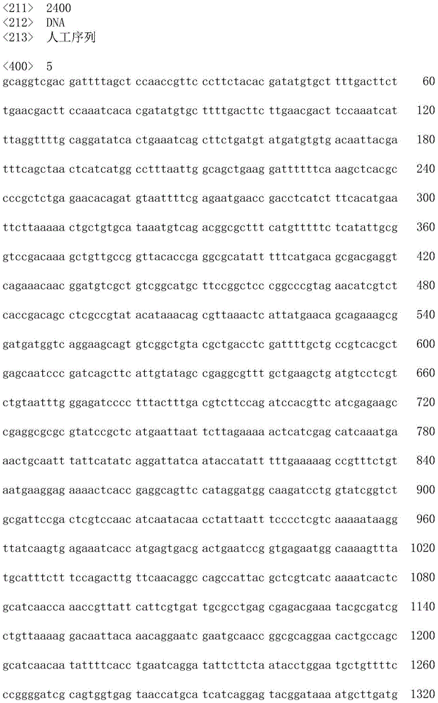 Homoserine dehydrogenase gene inactivation method of Bacillus subtilis