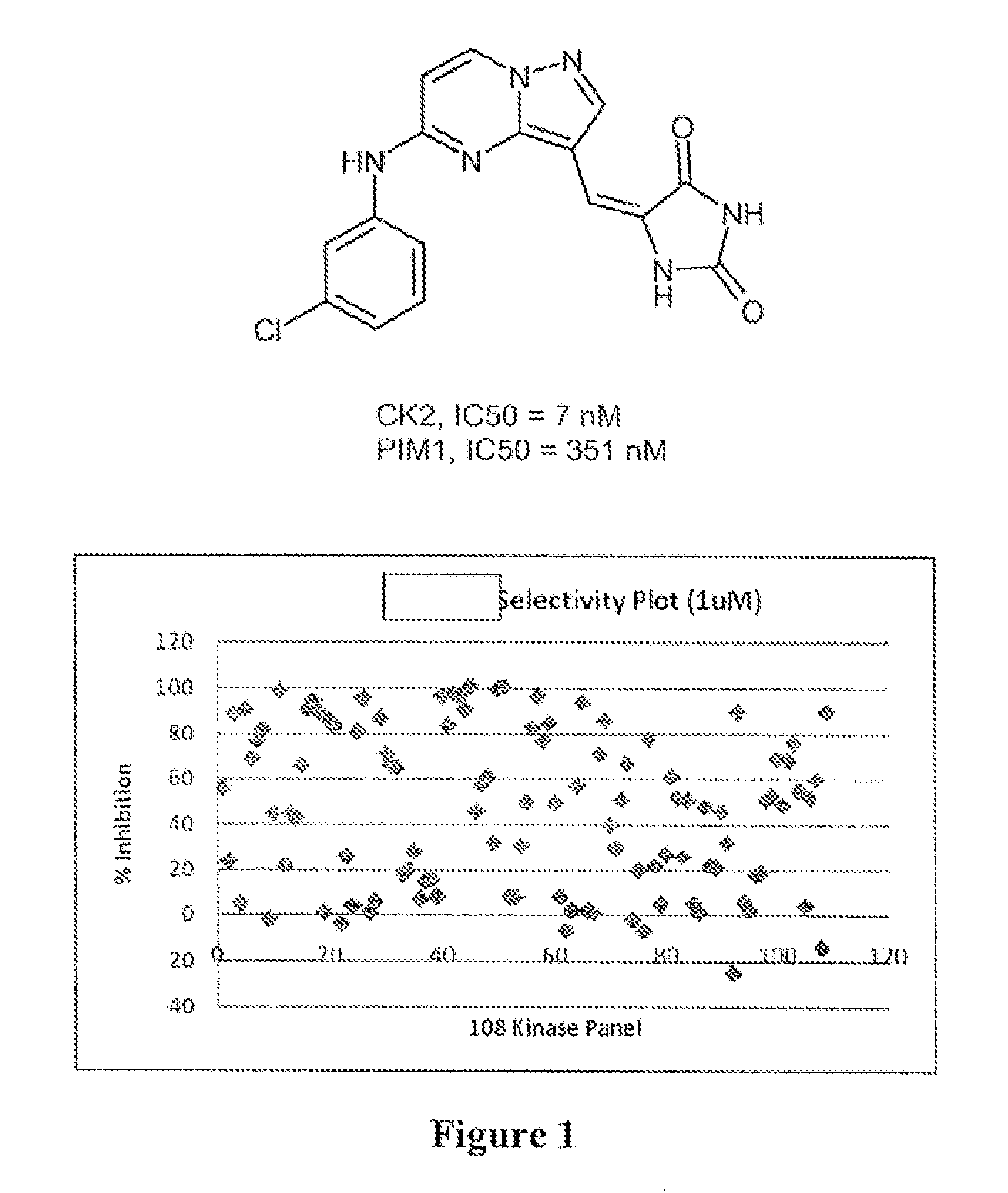 Pyrazolopyrimidines and related heterocycles as CK2 inhibitors