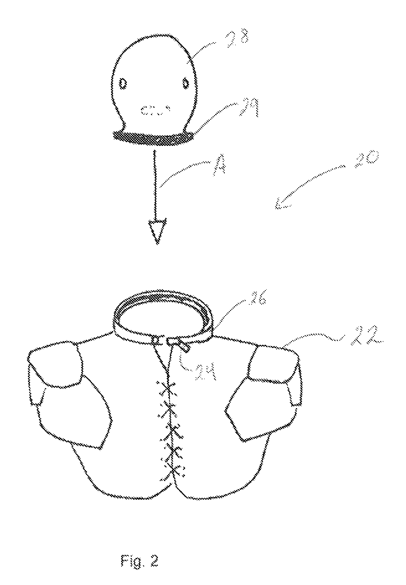Head and neck protection apparatus