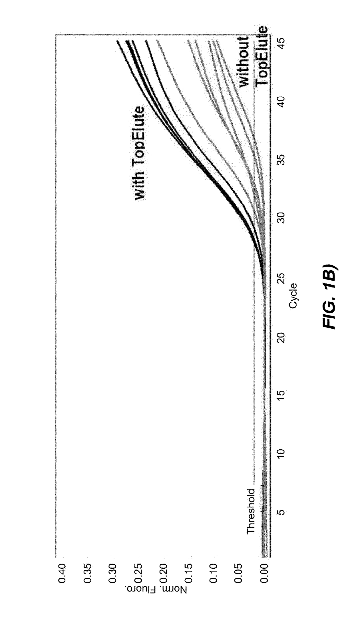 Method for isolating nucleic acids from a food sample