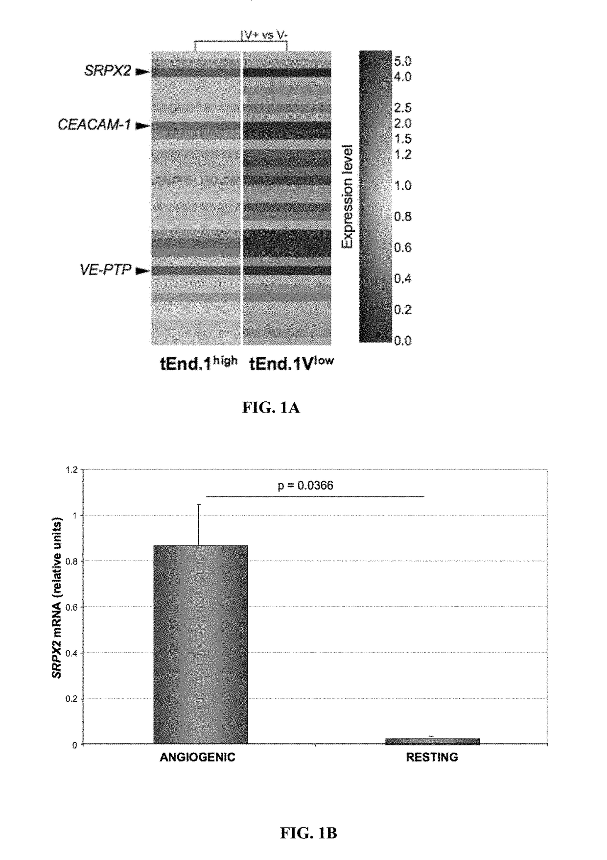 Modulation of srpx2-mediated angiogenesis