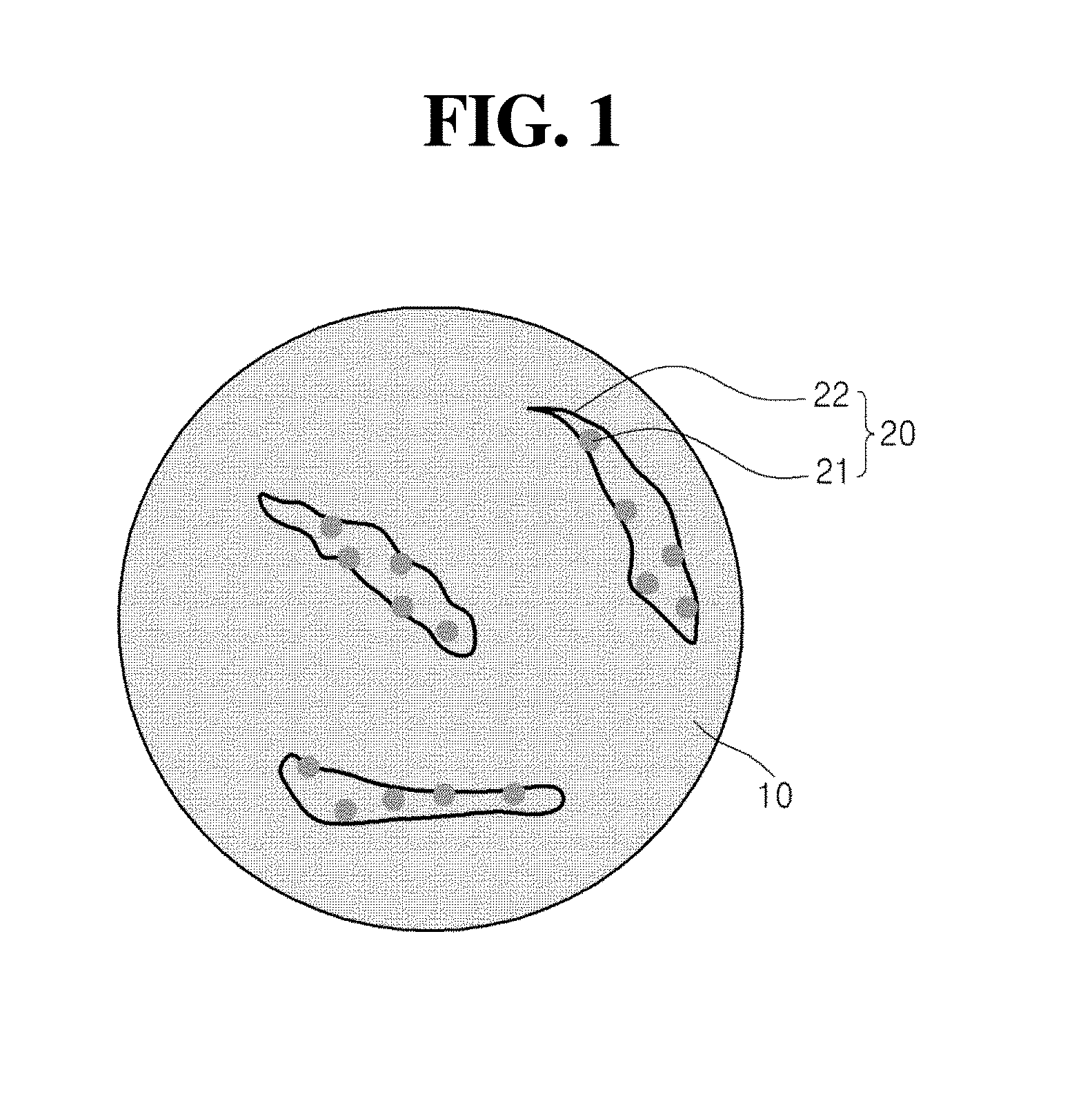 Carbon-silicon composite and manufacturing method thereof