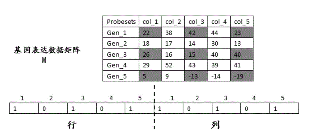 Bi-order genetic calculation-based gene expression data bi-clustering algorithm