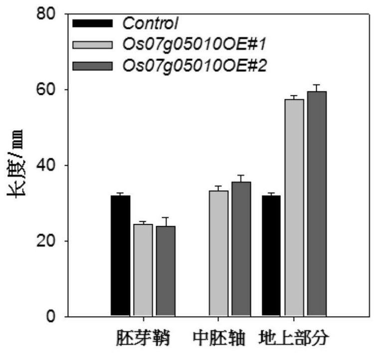 Rice transcription factor os07g05010 gene and its application