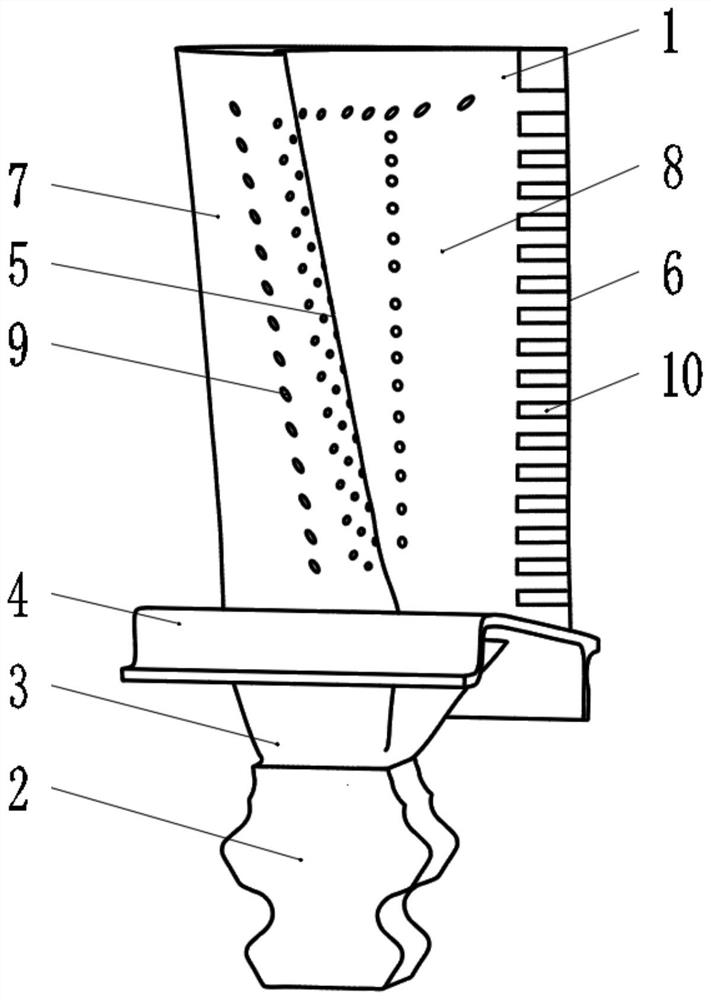 A turbine blade with transverse meandering and alternately shortening and shortening channels inside