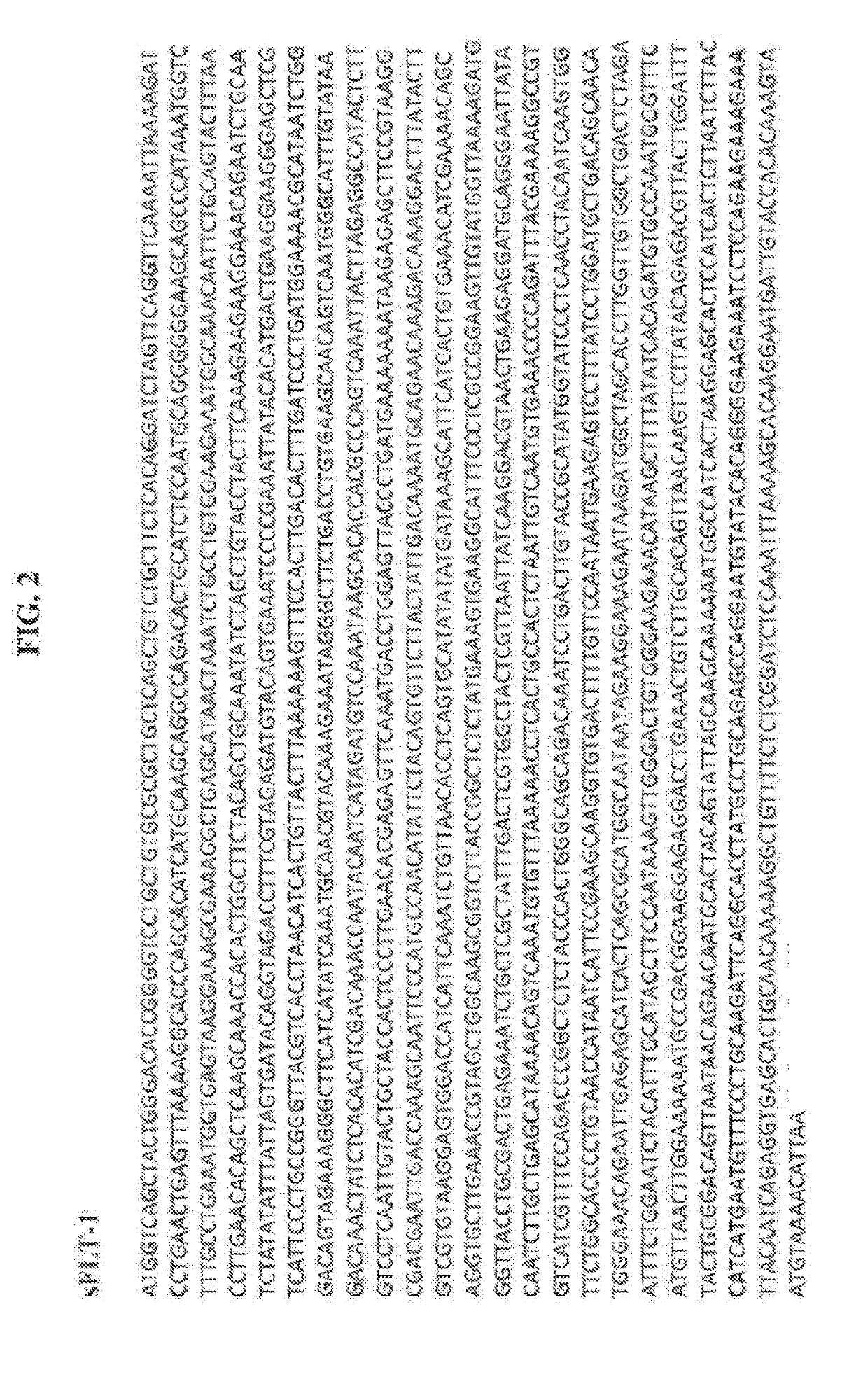 Compositions and methods for reducing ocular neovascularization